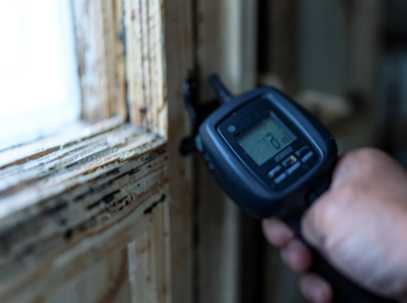 Moisture Inspection And Documentation in Georges Mills, NH